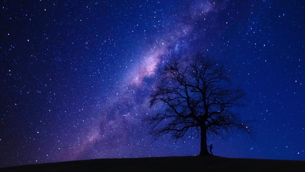 A captivating view of the starry night sky highlighting the Milky Way with a lone tree silhouette.